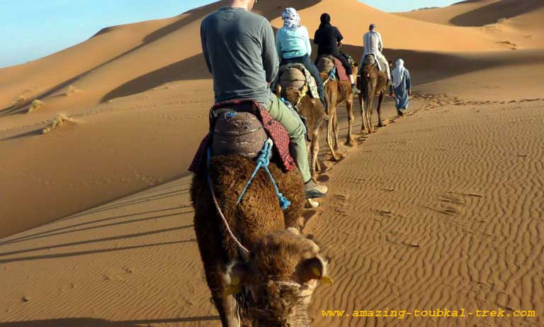 desert trip marrakech - sahara desert tours