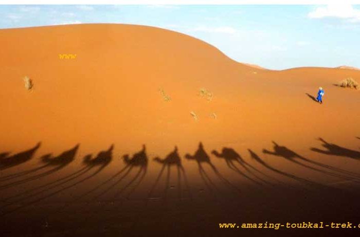 4 day sahara desert tour marrakech