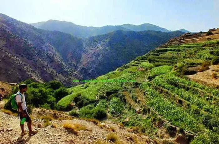 5 day high atlas desert tour