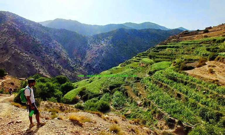 5 day high atlas desert tour