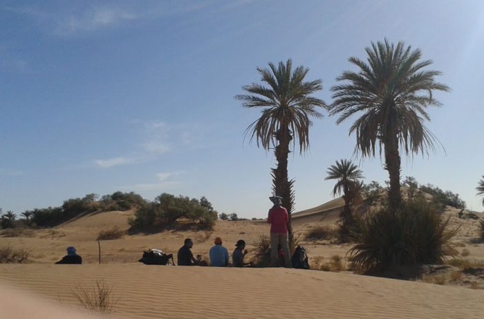 draa valley desert trekking