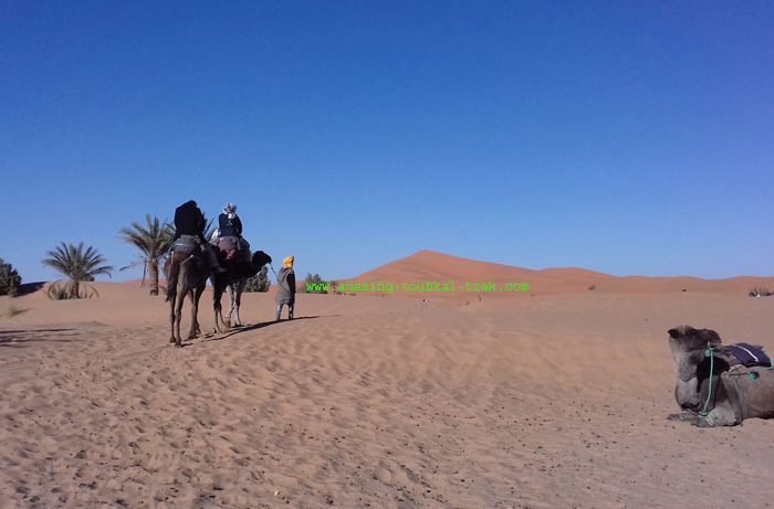 mgoun sahara combined trip