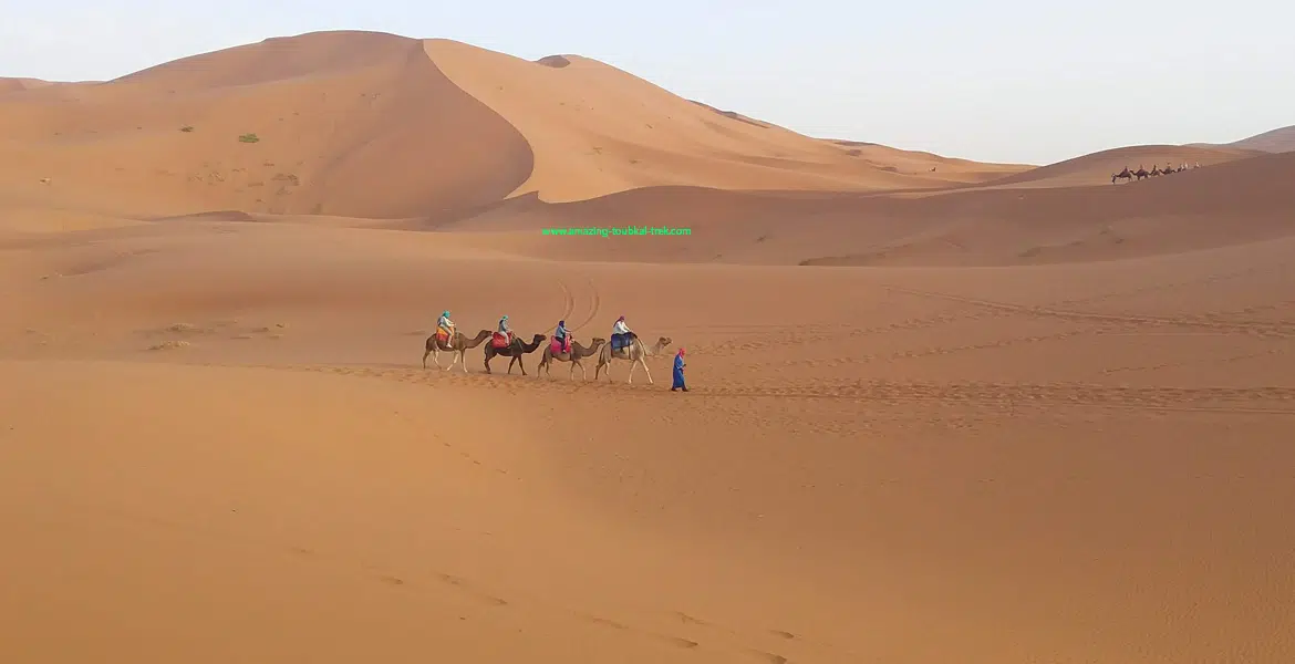 morocco sahara desert tours