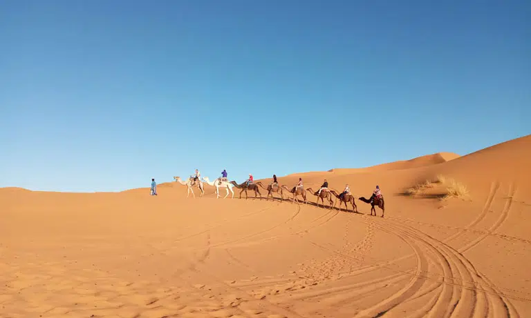 one winter adventure