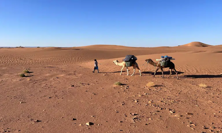sahara_desert_camel_treksiiiç